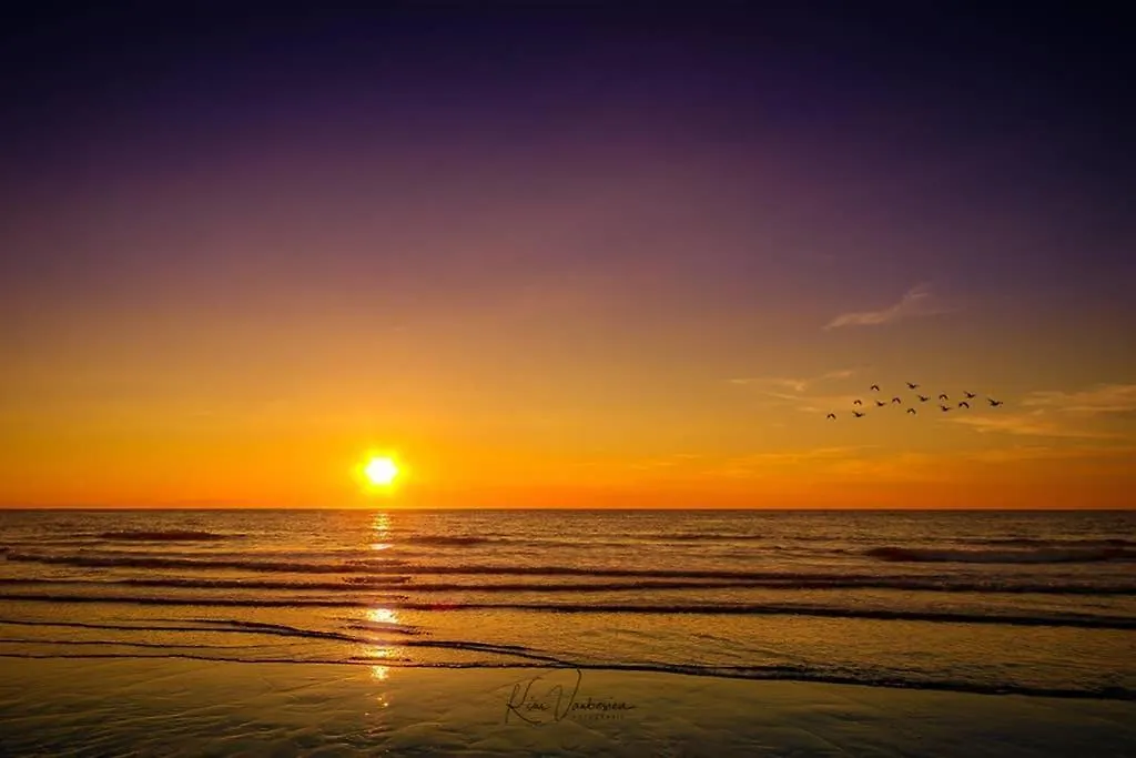 Zilt - A Brand New Guesthouse Near The Sea Ostend Belgium