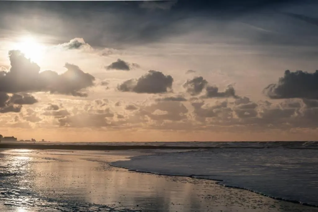 Zilt - A Brand New Guesthouse Near The Sea Ostend Belgium